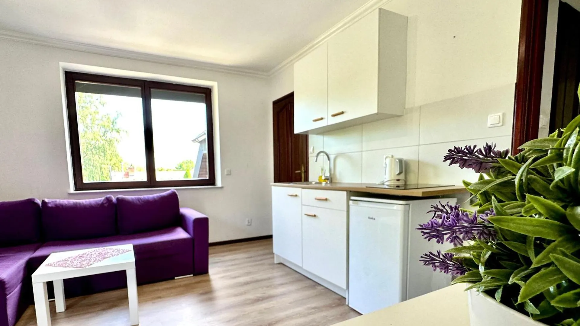 Studio Lesny Zubr III Gdansk 0*,