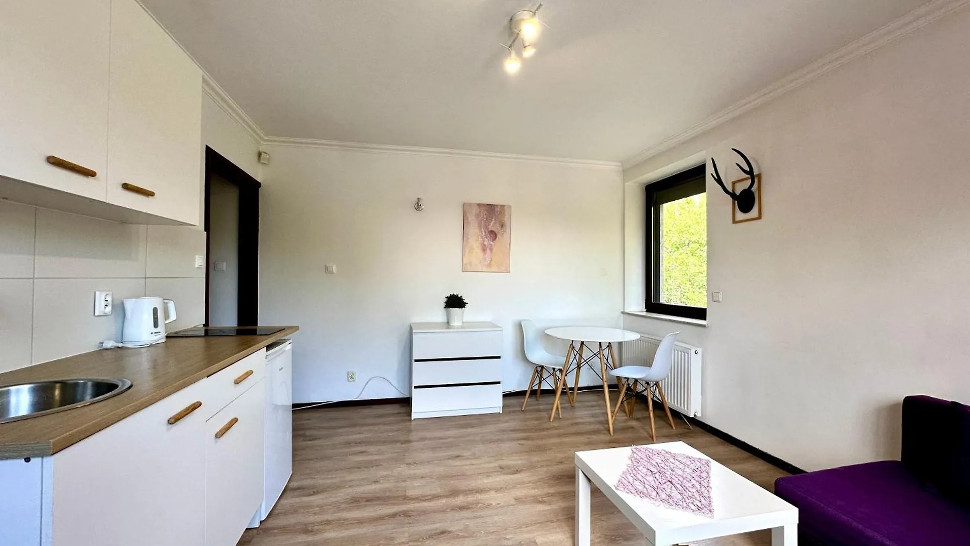 Studio Lesny Zubr III Gdansk