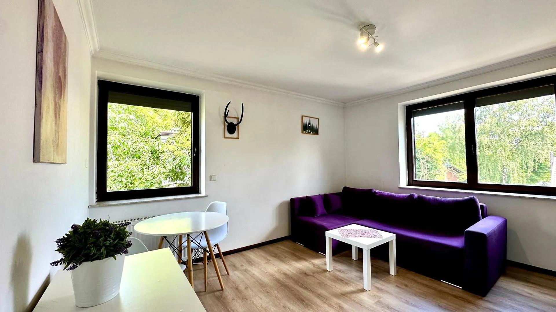 Studio Lesny Zubr III Gdansk