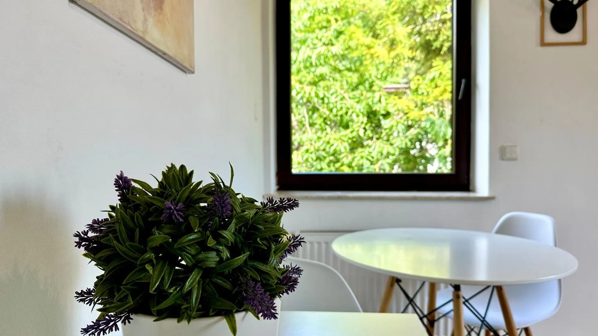 Studio Lesny Zubr III Gdansk