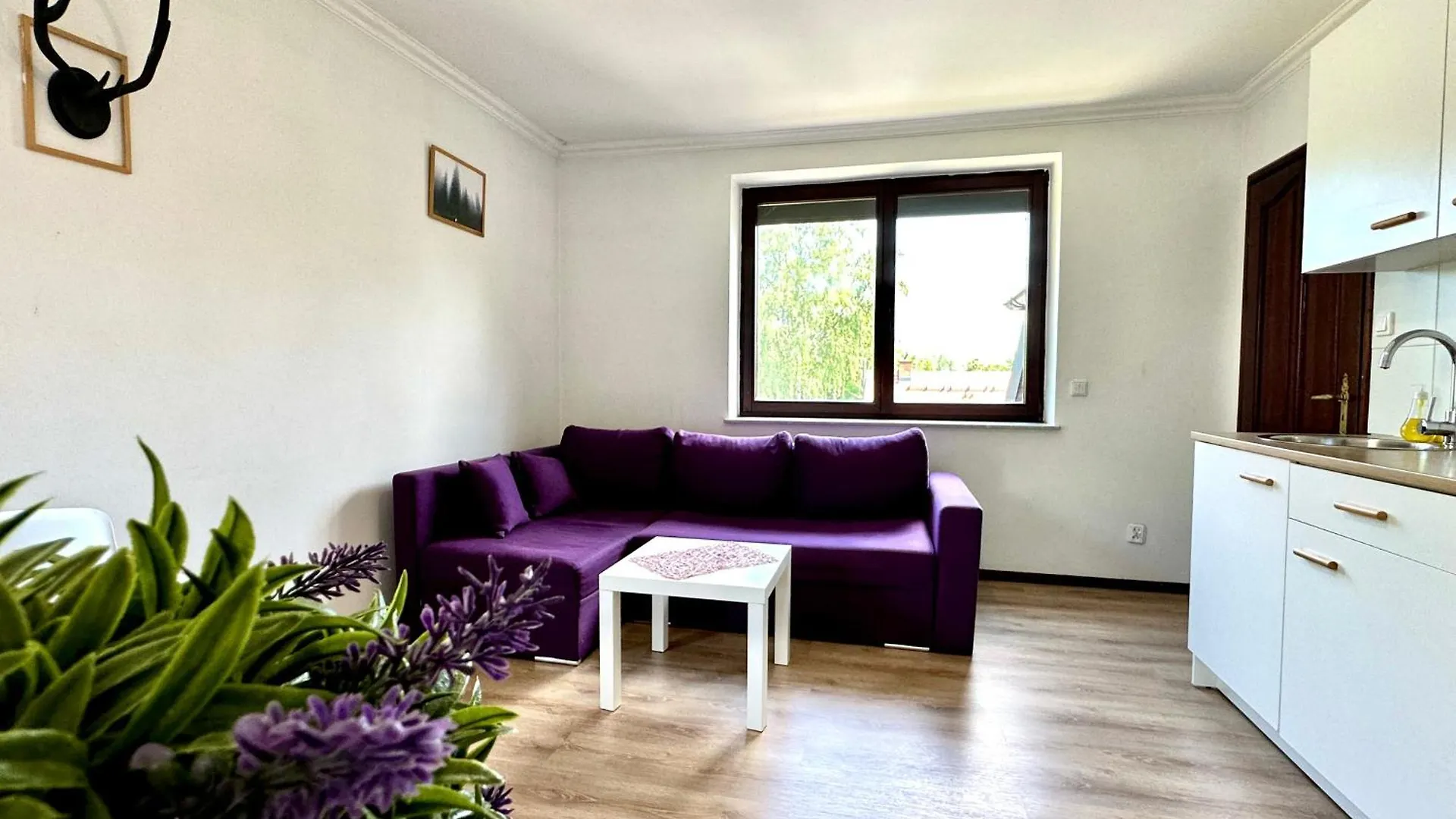 Studio Lesny Zubr III Gdansk Poland