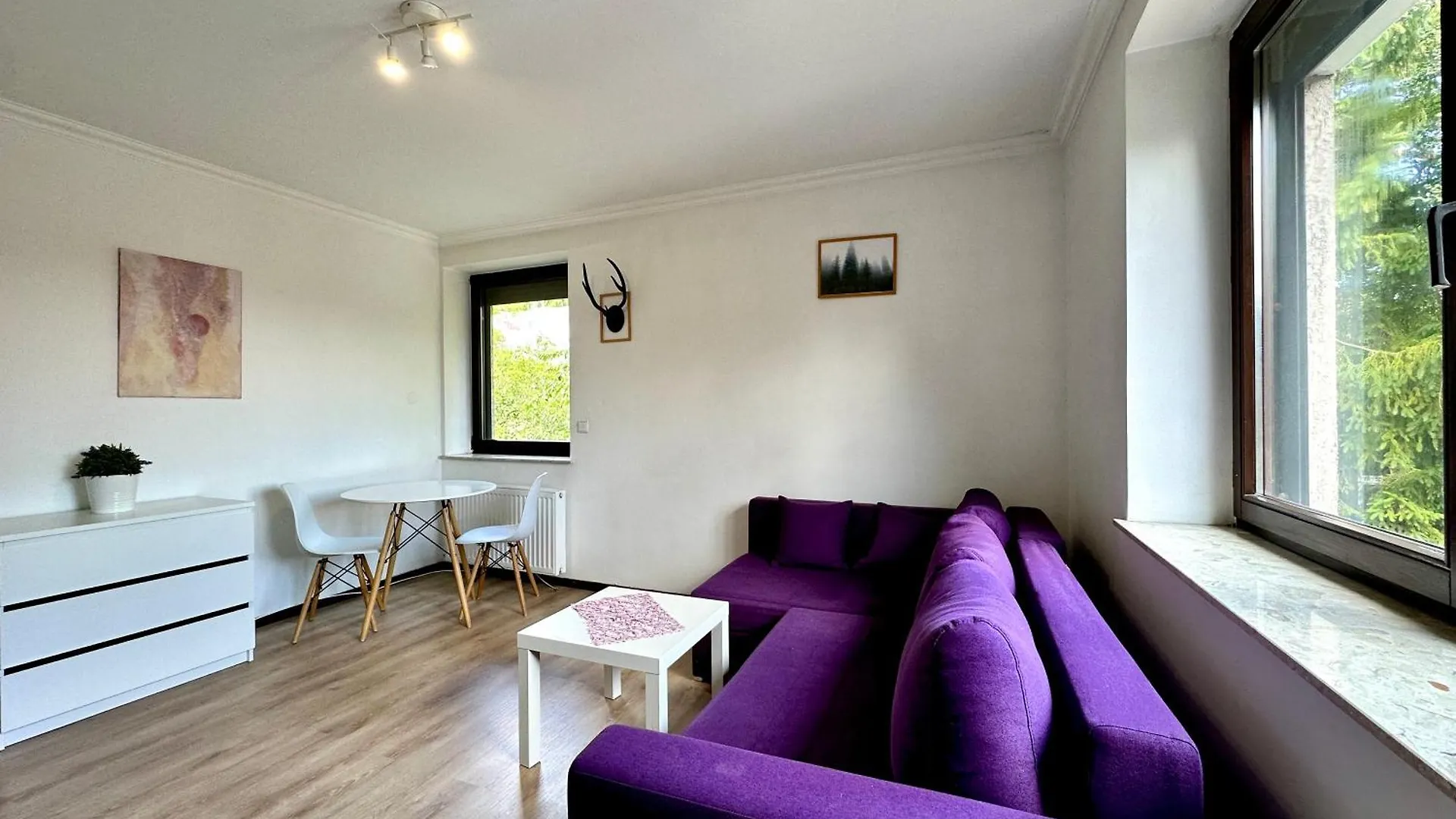 Studio Lesny Zubr III Gdansk 0*,  Poland