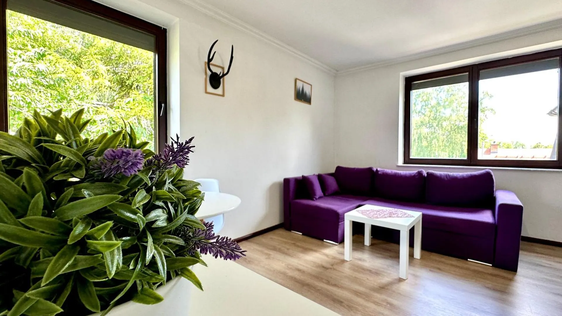 Apartment Studio Lesny Zubr III Gdansk Poland
